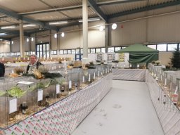 Lingener Kleintiertage November 2024